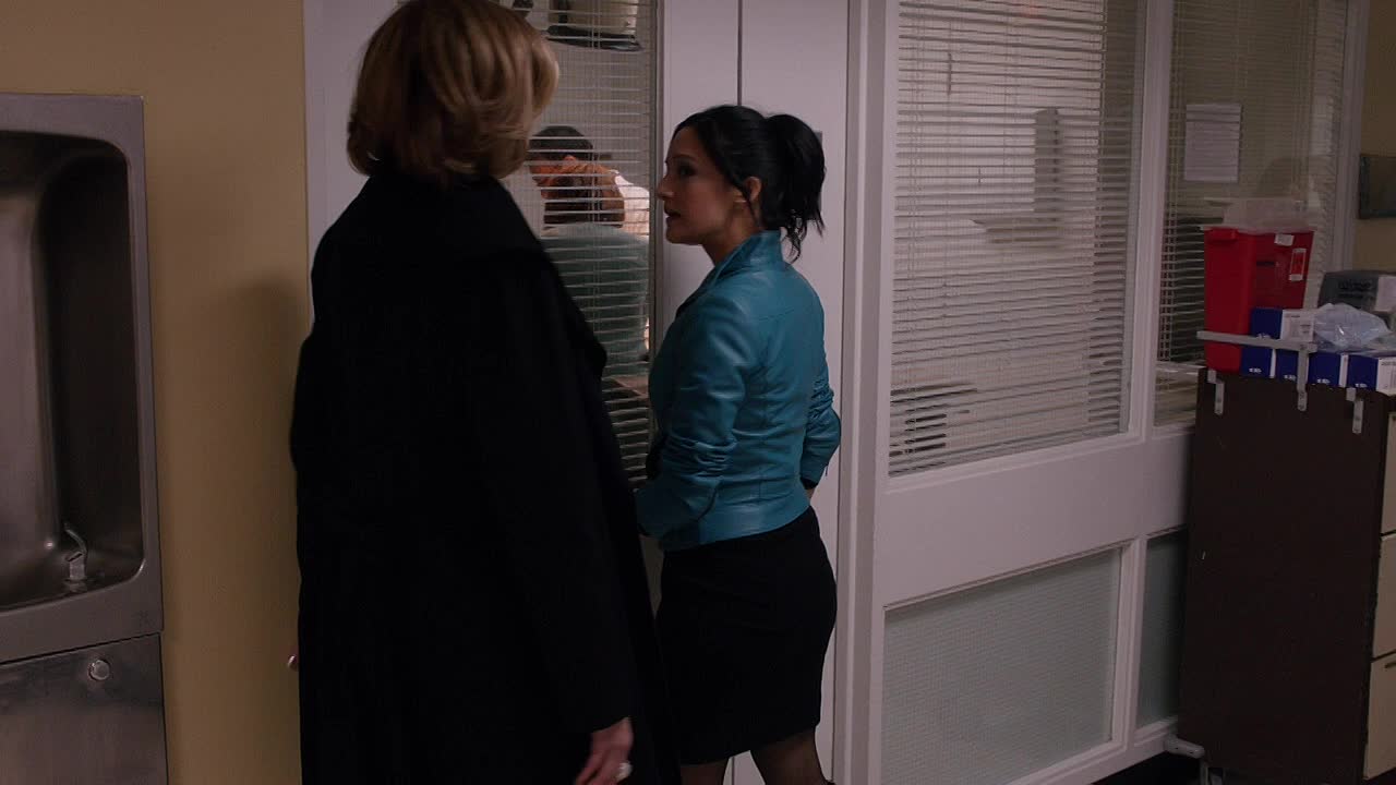 The Good Wife S05E15 Dramatics Your Honor 720p WEB-DL DD5 1 H 264-BS