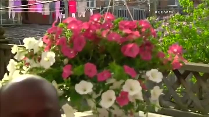 Come Dine With Me Canada 4 -5