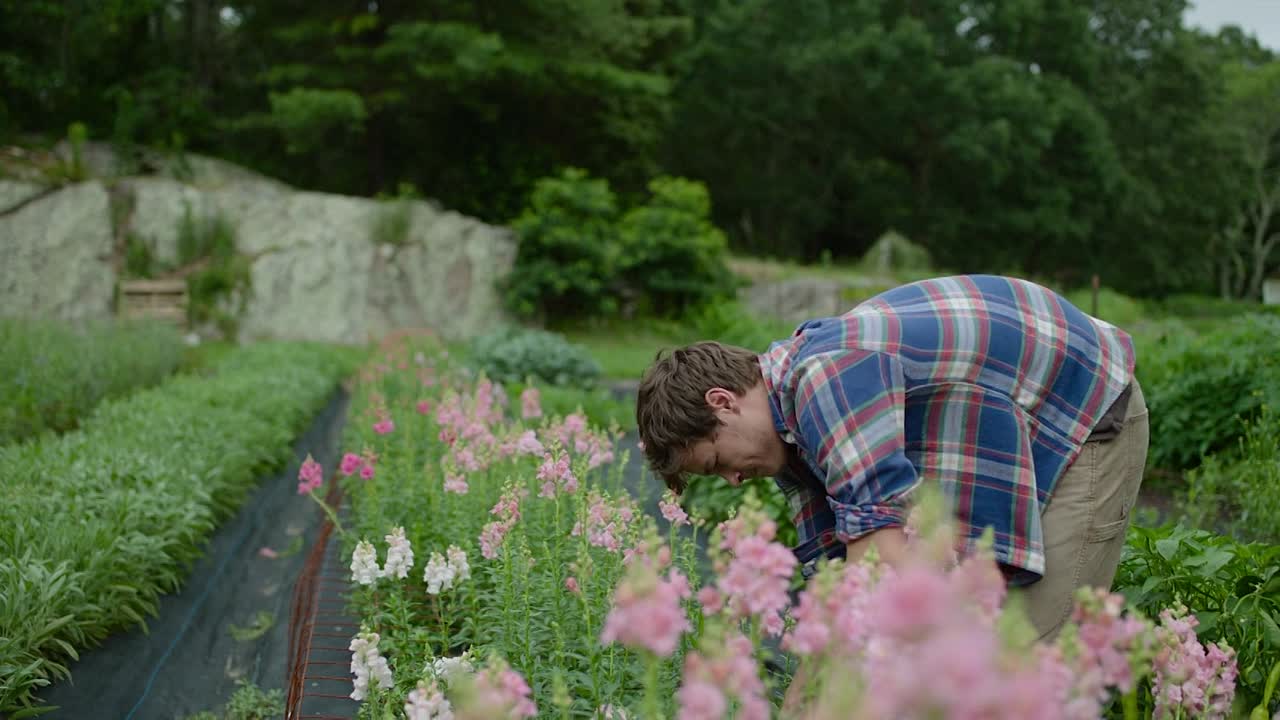 Space Oddity 2022 1080p WEBRip x264 AAC5 1-