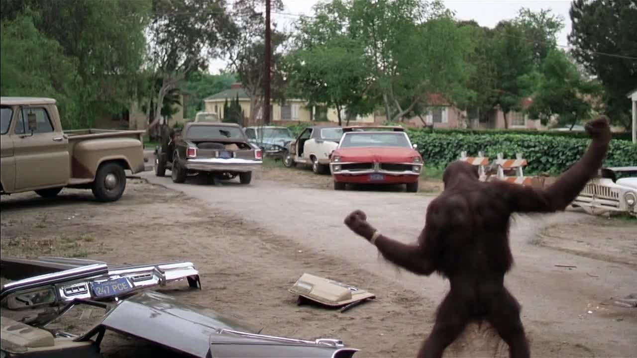 Any Which Way You Can 1980 720p BluRay x264 YIFY