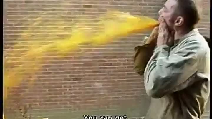 Guesthouse Paradiso -Behind the Scenes