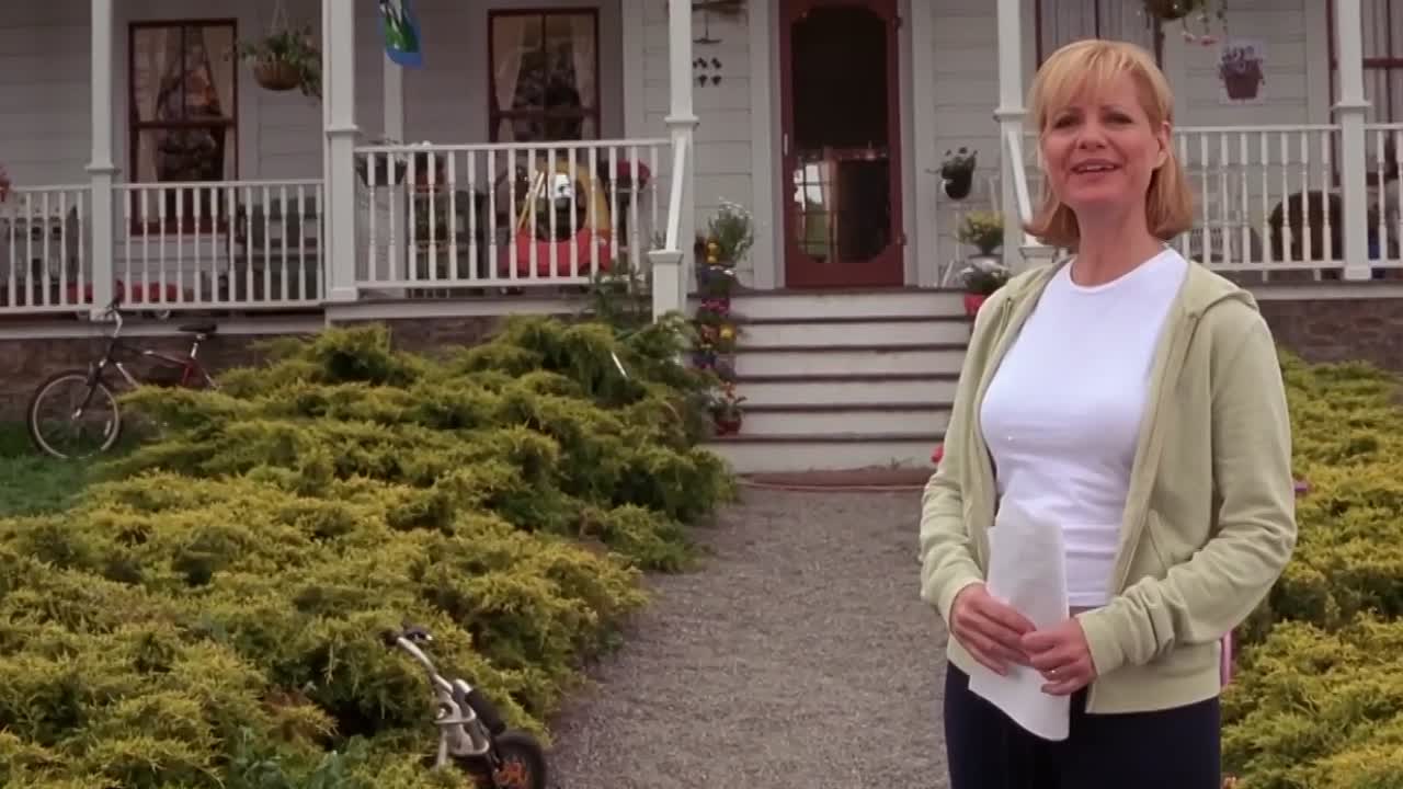 Cheaper by the Dozen -2003