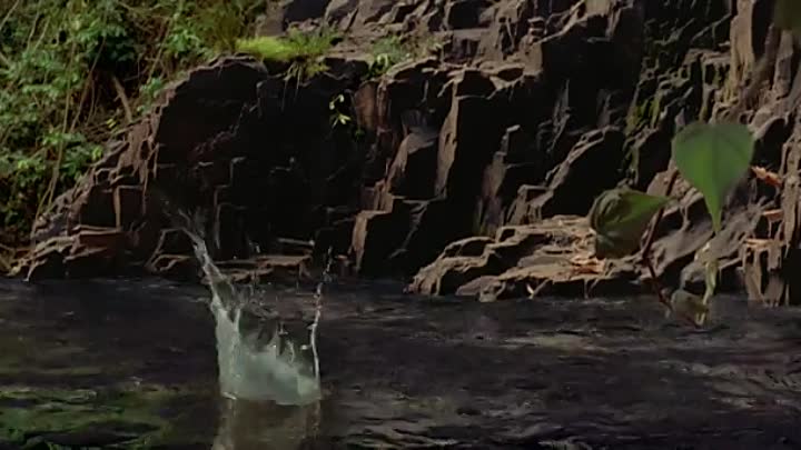 Walt Disneys Dinosaurier German 2000 BDRiP XviD iNTERNAL-DiNOs