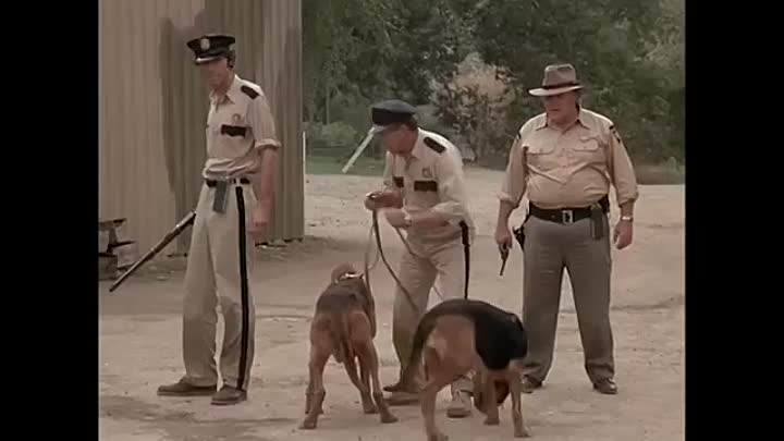 Charlie's Angels - Angels In Chains