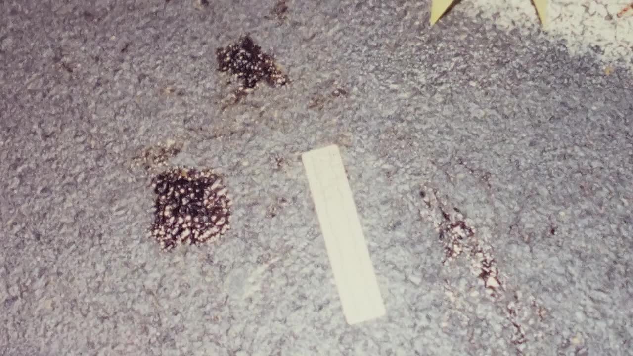 Uneven Ground_ The Melissa Witt Story (True Crime Documentary)