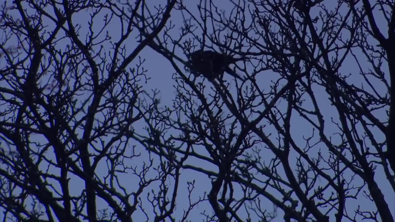 I Am Addicted To Spending Money