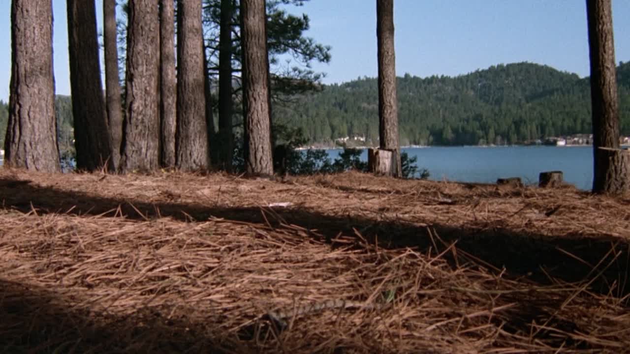 The Hand 1981 720p BluRay x264 AAC-[YTS MX]