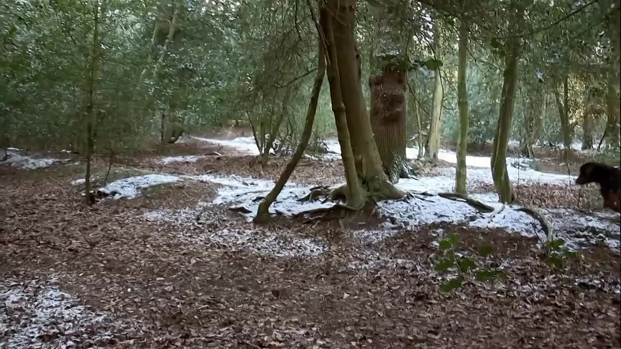 Secret Eaters S01 E04