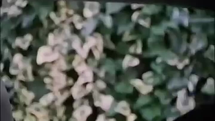 Madson (1996) Part 6