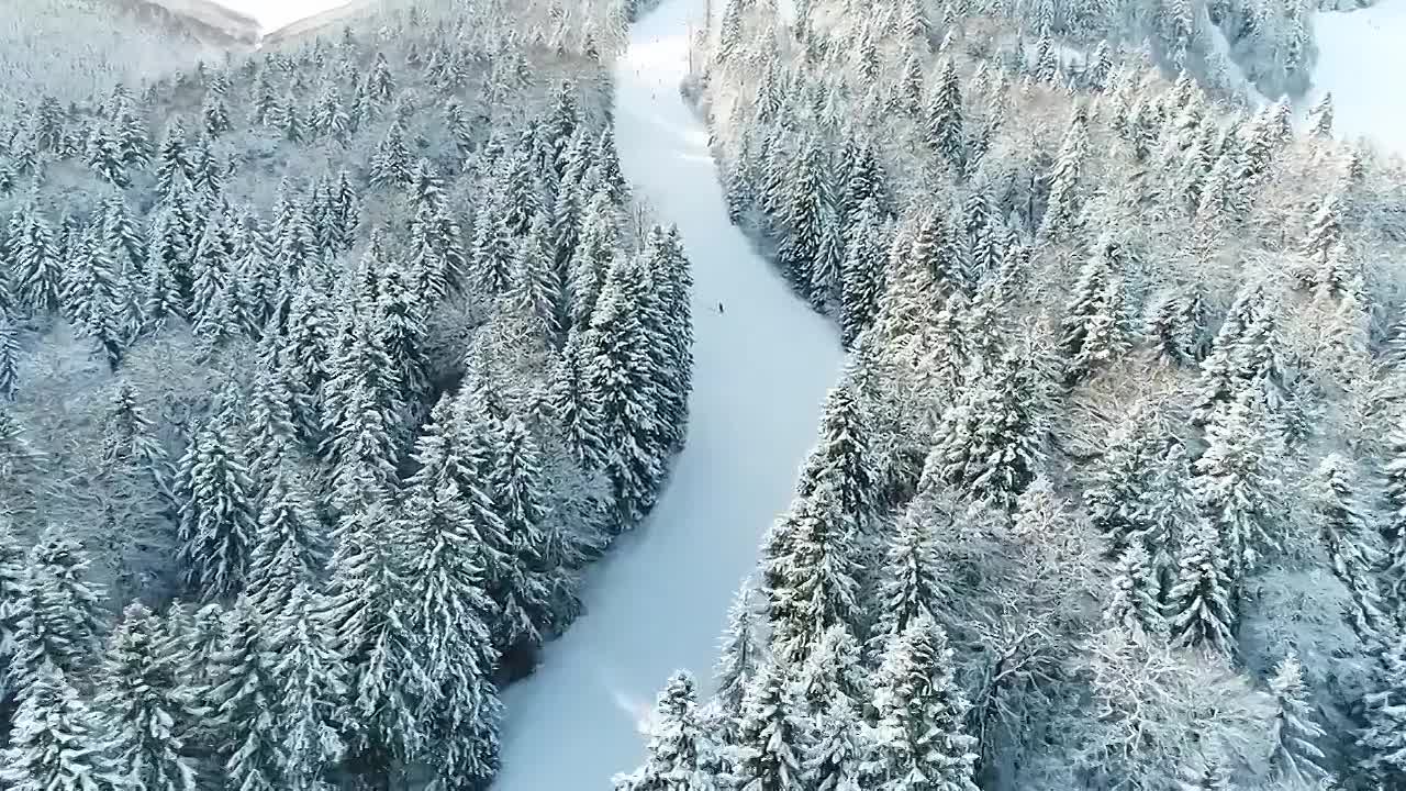 Josef Mengele -The Angel of Death