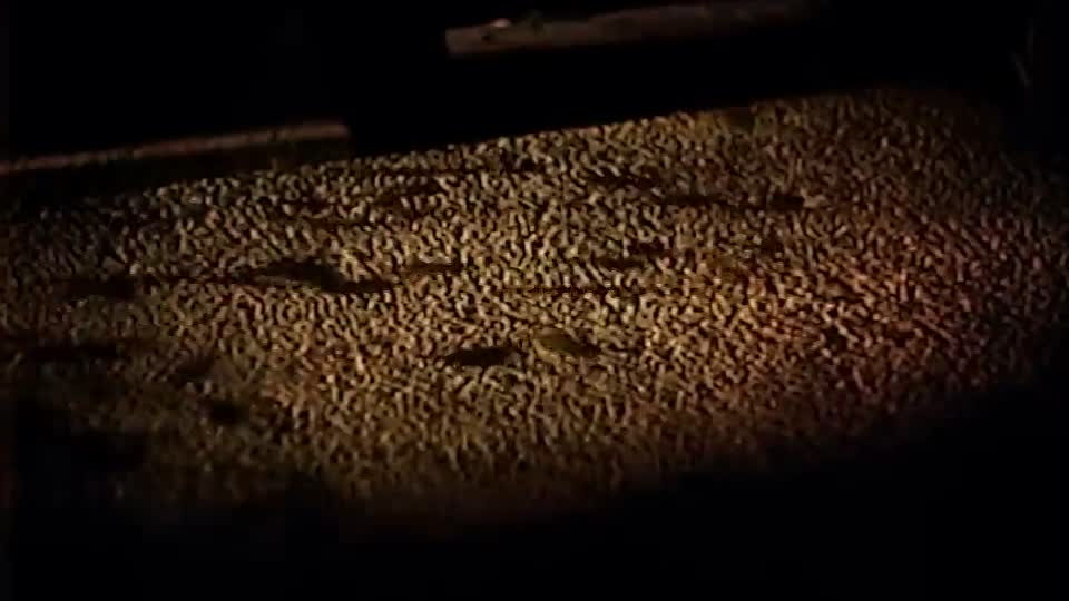 Edgar Wallace -The Door with Seven Locks (1940)