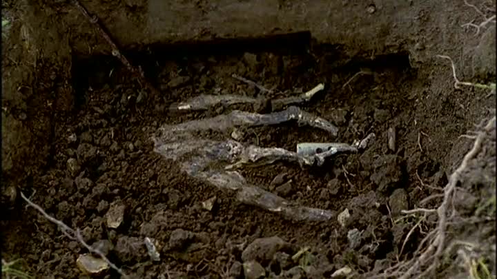 ⁣Rosemary And Thyme S01E02 - Arabica And The Early Spider