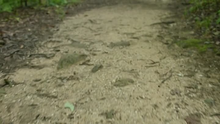 Fighting the Sky 2019 HDRip XviD AC3-EVO