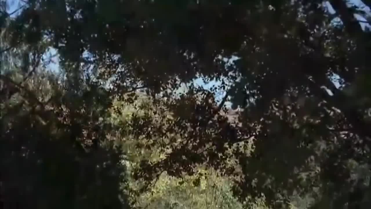 Murder 101 -The Locked Room