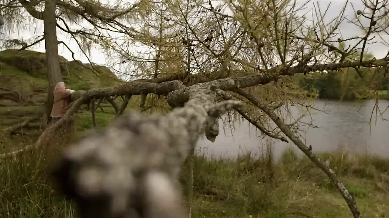 Beatrix Potter_ The Secret Life Of A Victorian Genius _ Beatrix Potter _ Absolute History