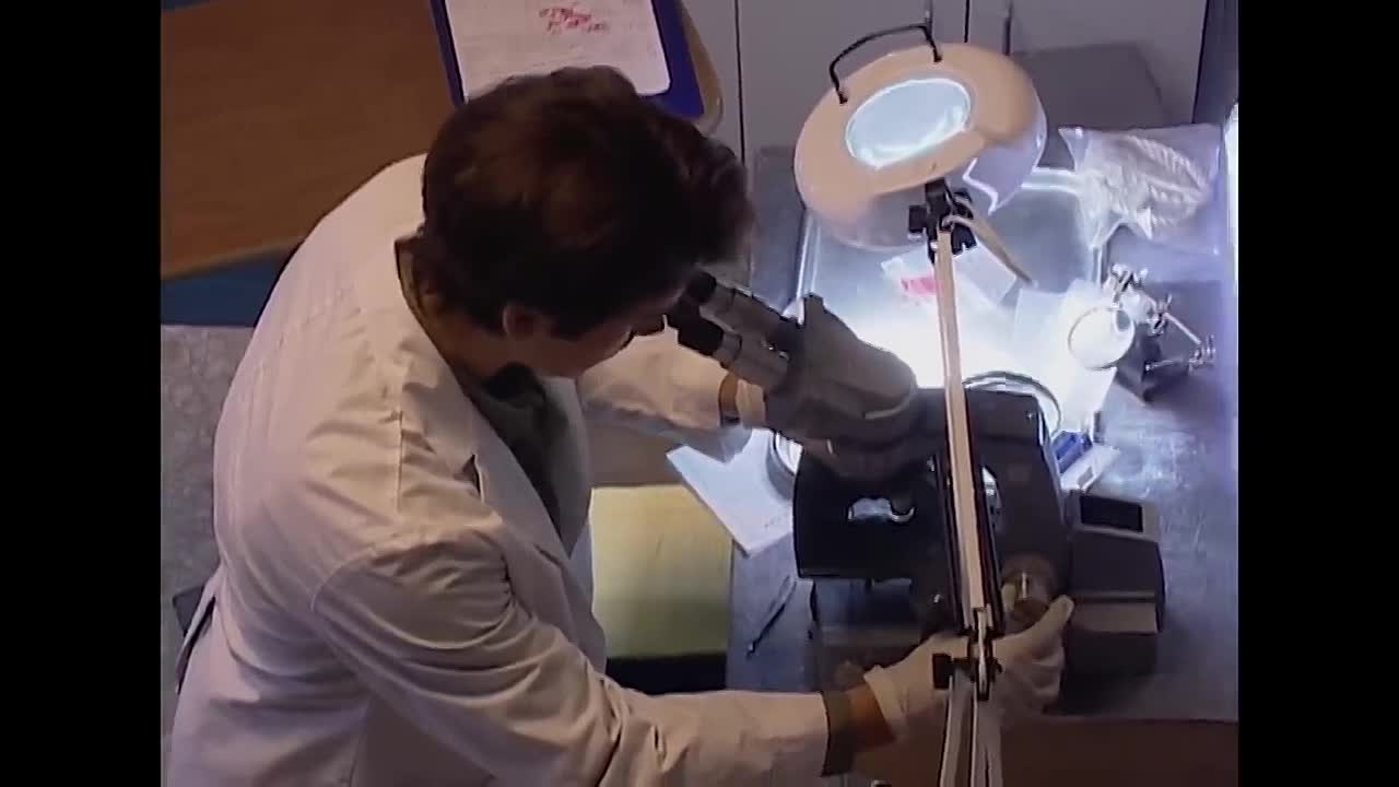 Family Secrets -The FBI Files