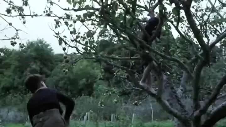 ⁣Angela's Ashes -1999