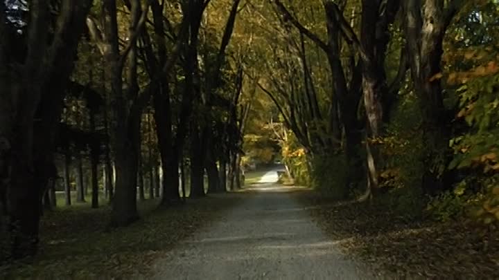 30 Miles to Nowhere 2019 HDRip XviD AC3-EVO