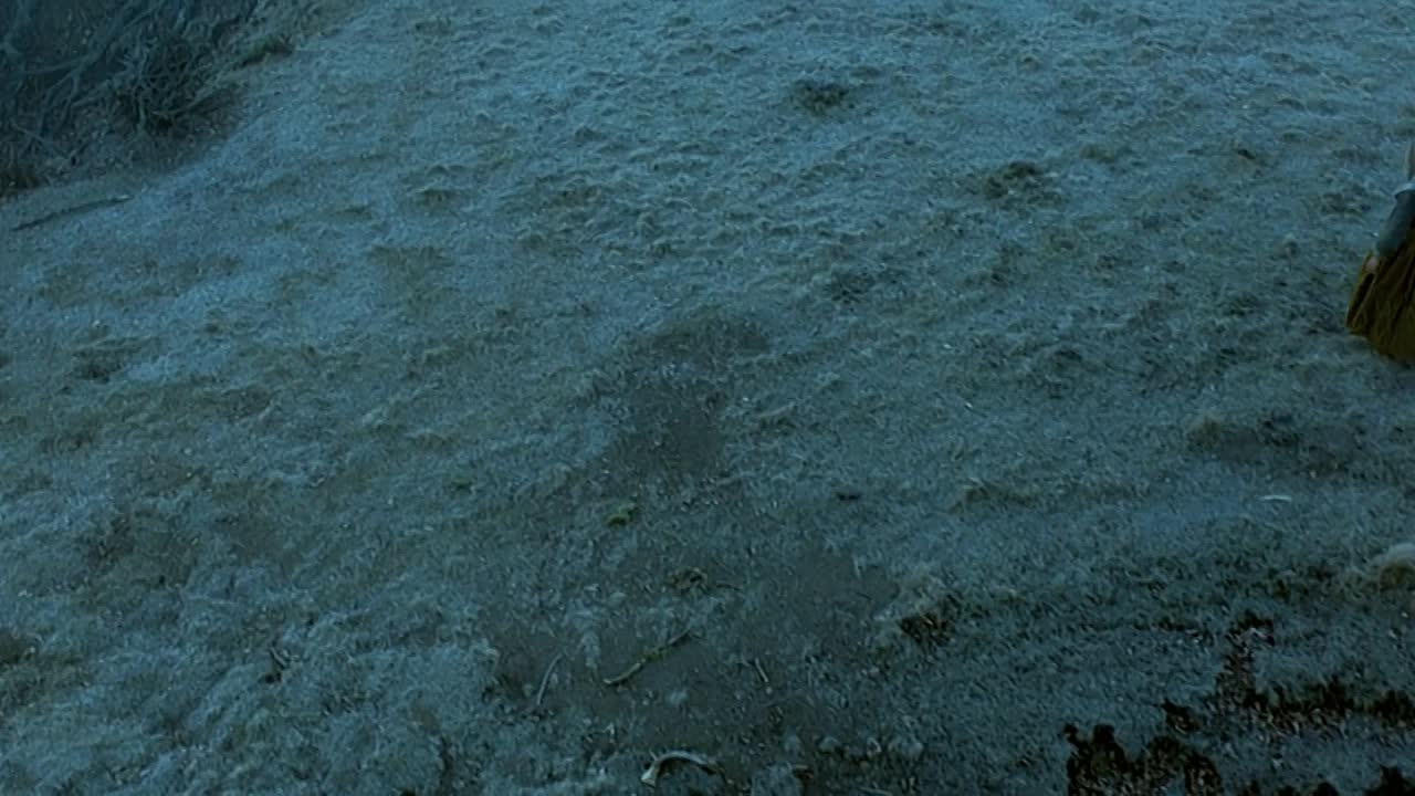 ⁣Brotherhood Of The Wolf 2001 1080p BluRay x264-[YTS AM]