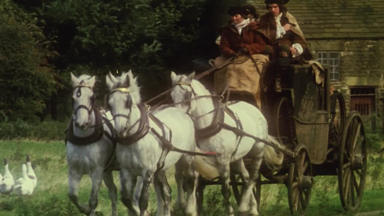 Black Jack 1979 1080p BluRay x264-[YTS AM]