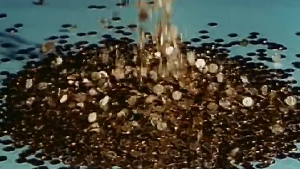 AMERICAN NOSTALGIA_ The 1960's Thrifty Wife