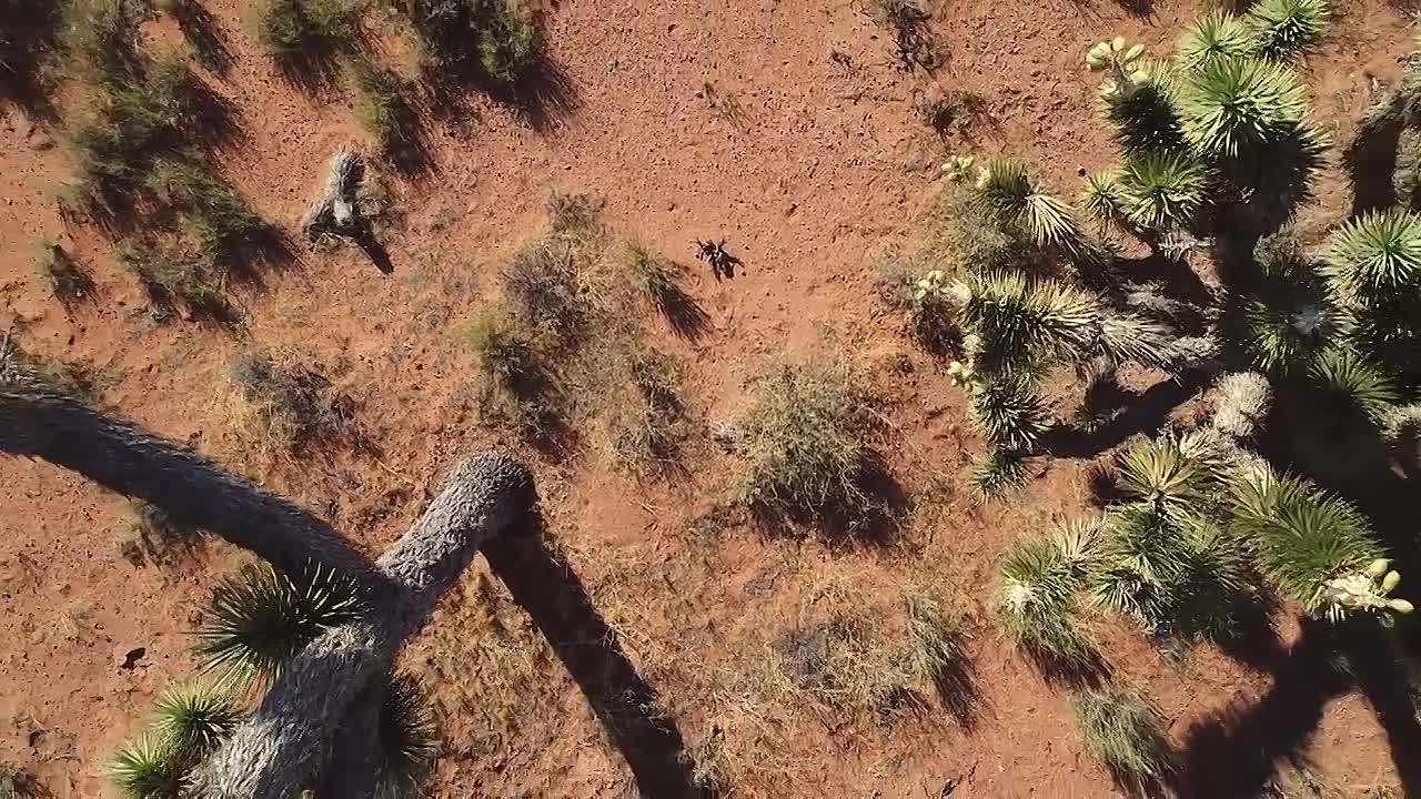 Oppenheimer - Destroyer of Worlds