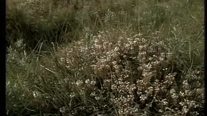 Margaret Gallagher -All I've Ever Known