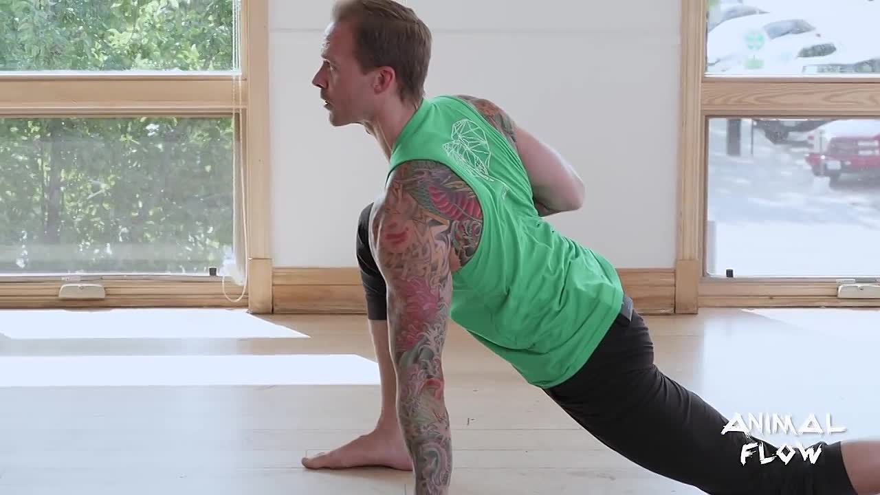 Animal Flow Beginner Class