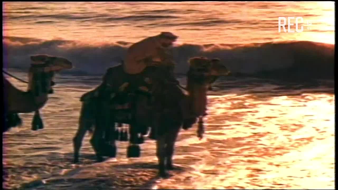 Omar Sharif en Viva el Lunes (1996)