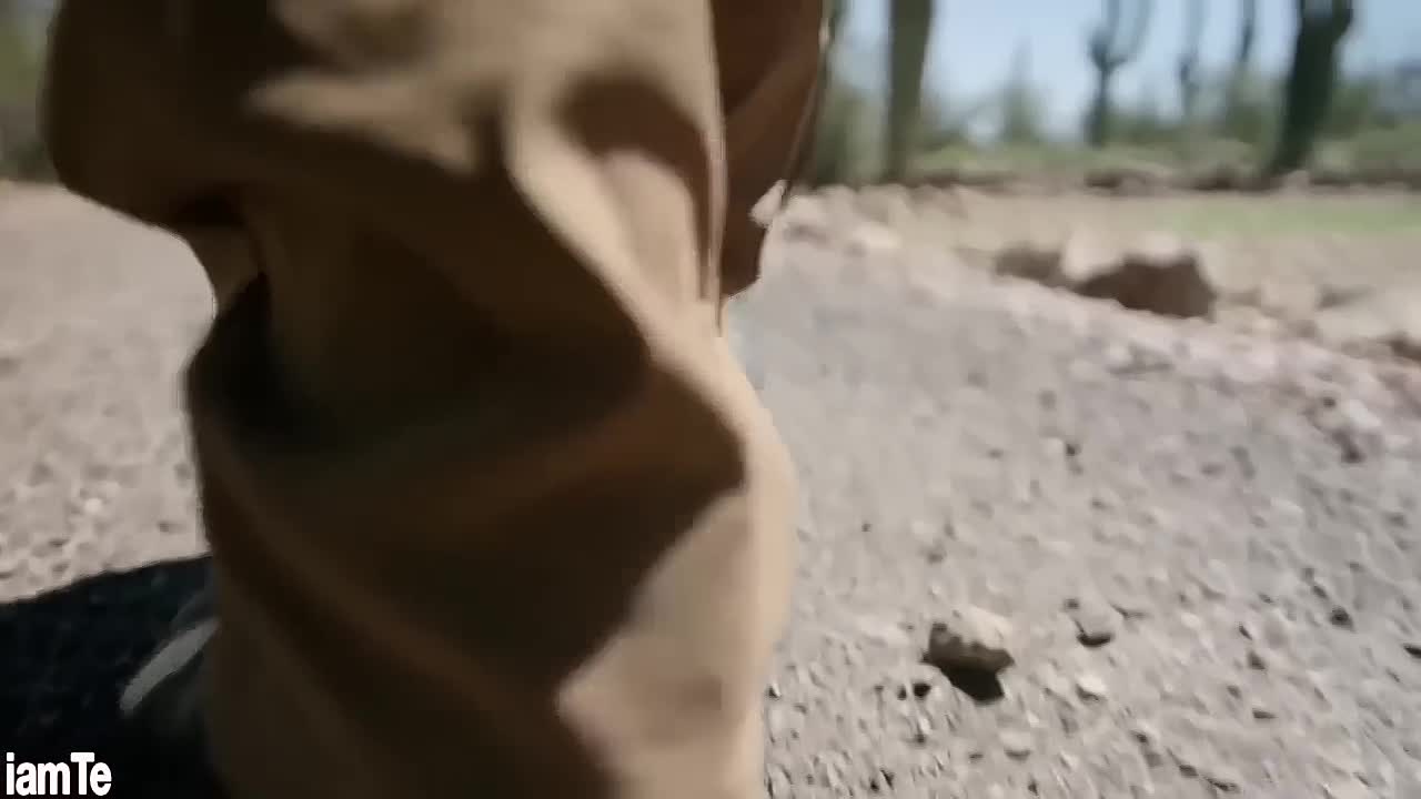 A Time To Kill -Who Killed the Yogi