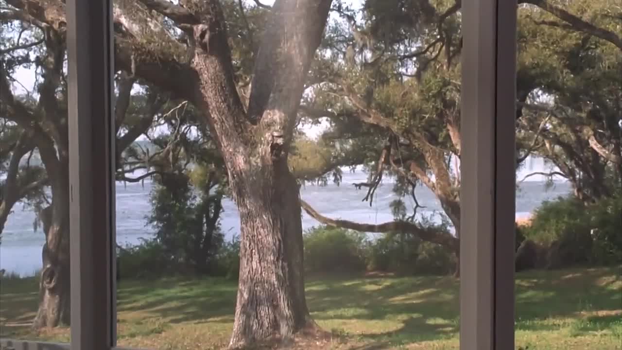 Consenting Adults 1992