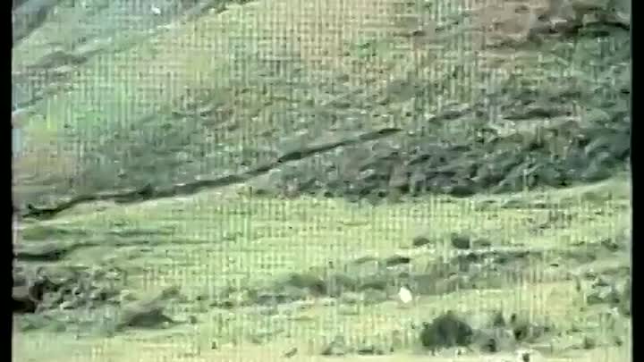 How Green Was My Valley 1975-1976 -Parts 1 to 4