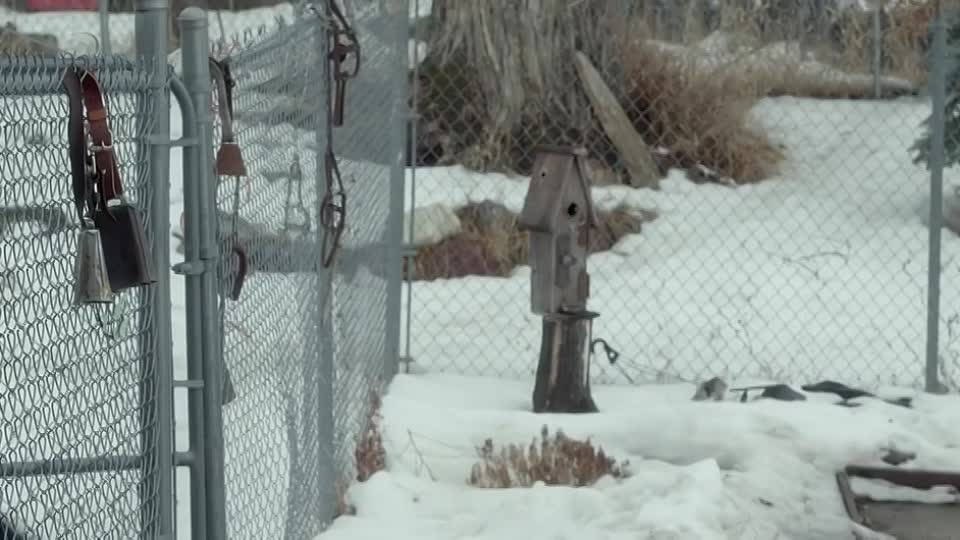 Jackie And Ryan 2014 720p WEB-DL XviD AC3-RARBG