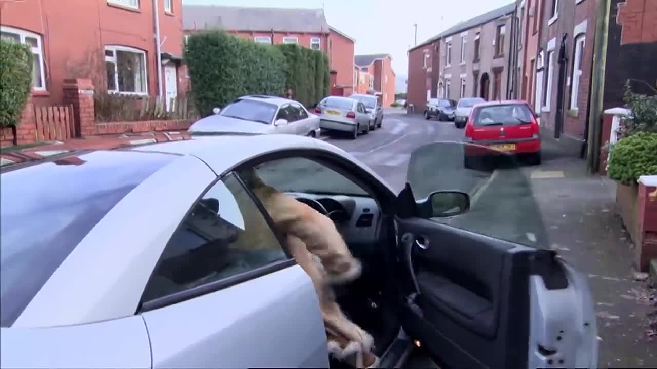 Suing The Police _ The Briefs 2