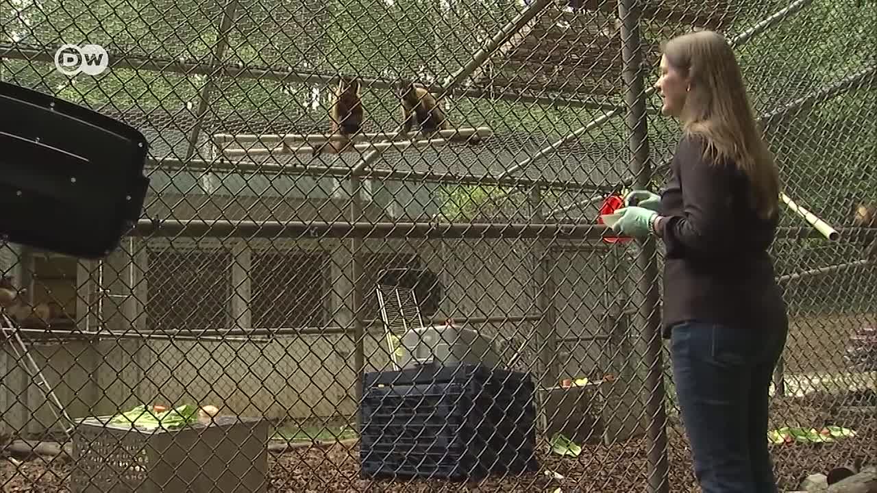 Money, Happiness and Eternal Life - Greed (Part 1)