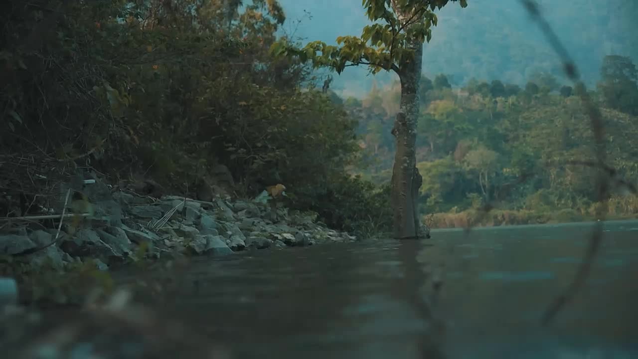 The Pen   (Award winning short film at AFF 2023)