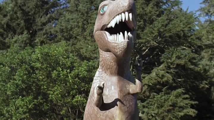 Swell 2019 HDRip XviD AC3-EVO