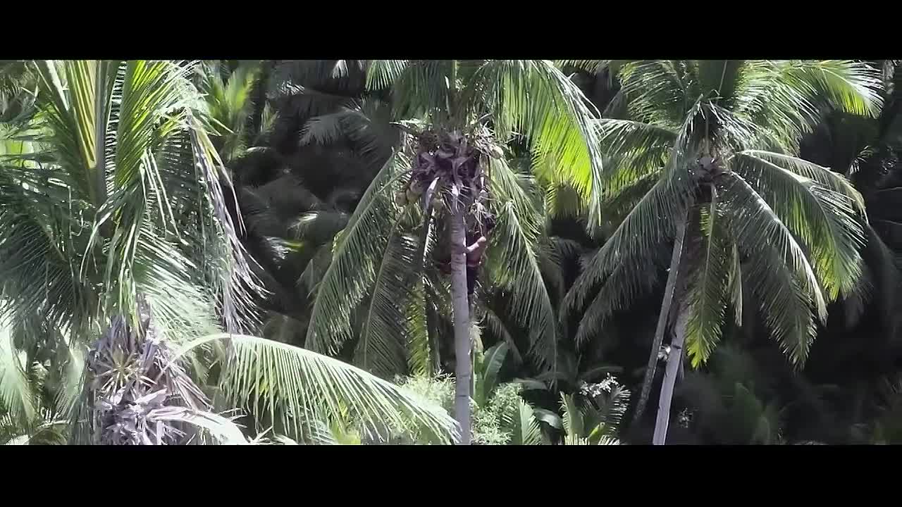 Kinabuhi - Award Winning Documentary Short