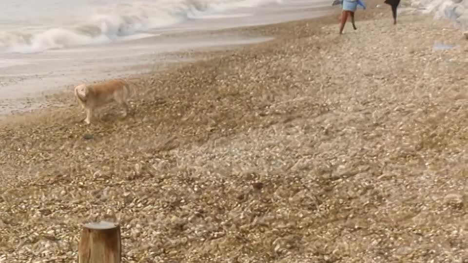 The Ruth Rendell Mysteries - May and June  Part 1