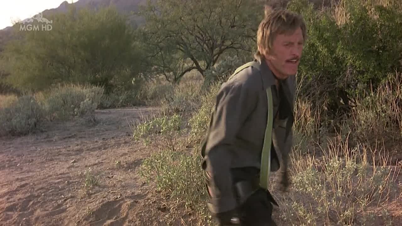 The Villain 1979 1080p BluRay x264 AAC-