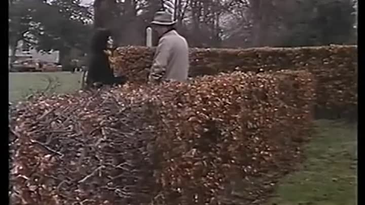 Inspector Wexford - A New Lease Of Death