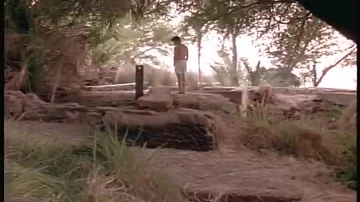 Clothes in the Wardrobe -1993