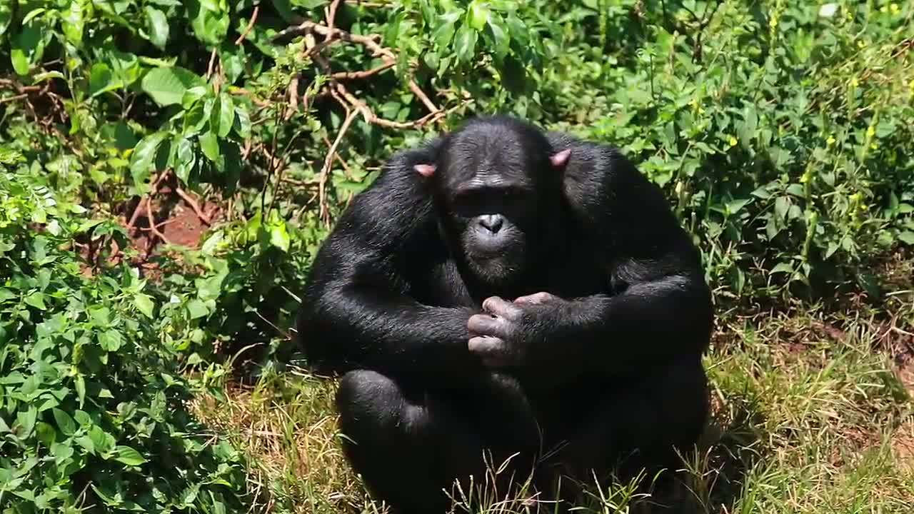 60 Most Incredible Recent Discoveries & Mysteries _ A Compilation