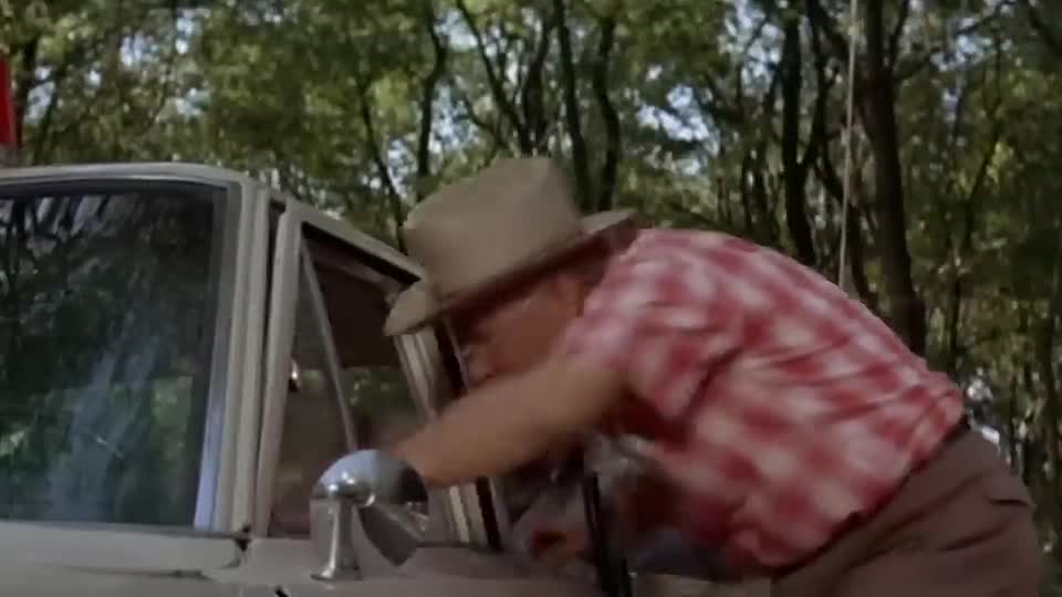 The Flim-Flam Man -1967