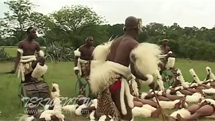 ⁣Zulu Tribal Dance in South Africa
