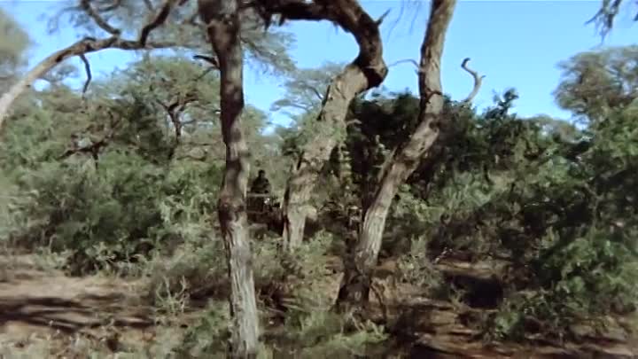 The Gods Must Be Crazy II 1989