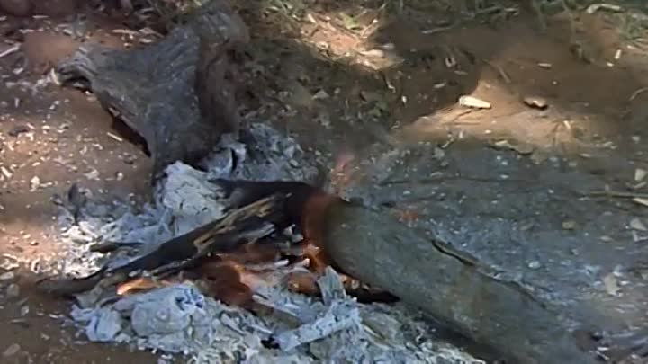 The Gods Must Be Crazy  1980