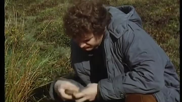 Ruth Rendell Mysteries  Master of the Moor Part 1