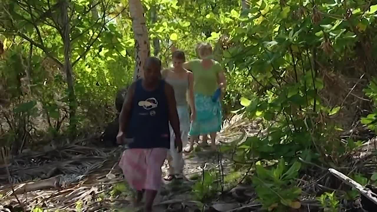 The Real Swiss Family Robinson -The Dye Family