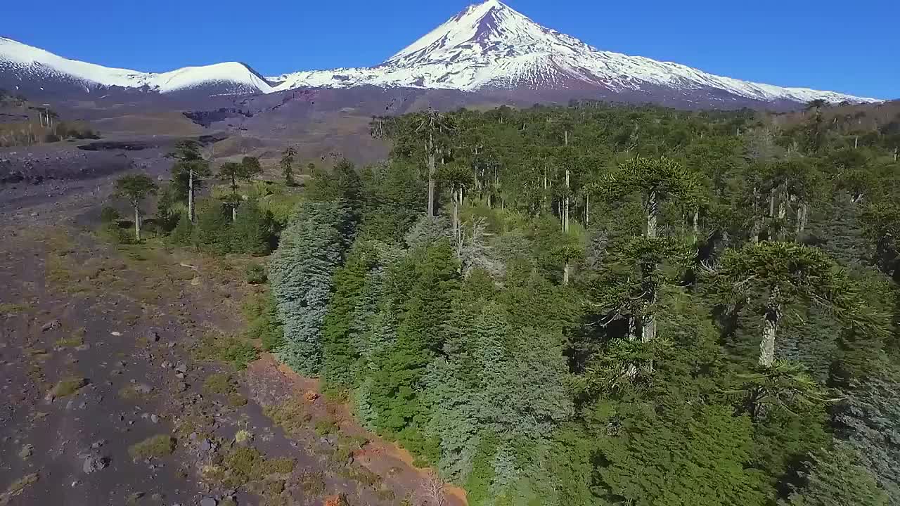 ⁣Chile - History, Geography, Economy and Culture